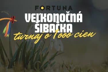 šibačka vo fortuna casino