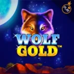 Wolf Gold - Halloweensky Turnaj